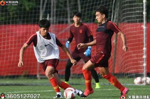 职业球员爆料喝酒视频播放,揭秘球场背后的真实生活 第2张 职业球员爆料喝酒视频播放,揭秘球场背后的真实生活 第2张